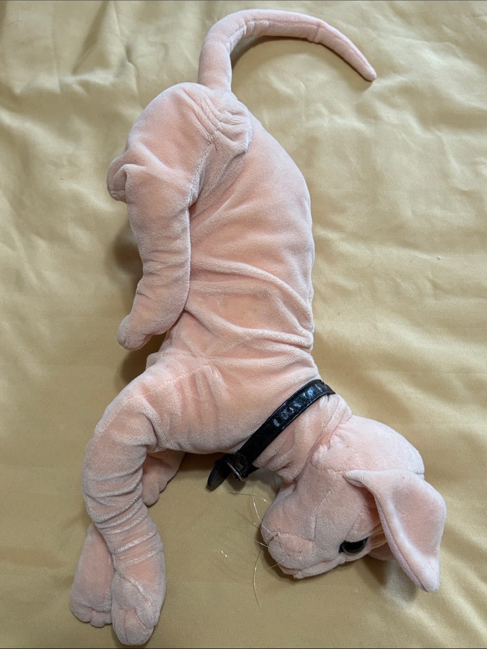 Mr. Bigglesworth Plush Cat from Austin Powers - Picture 6 of 7